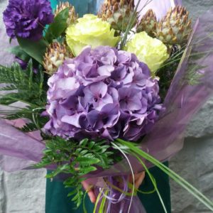 eiphoria_01