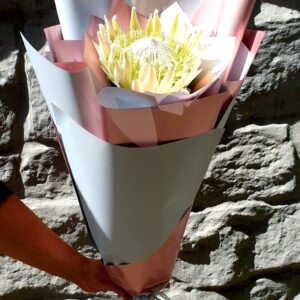 buket-15-01
